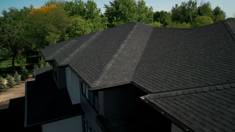 Best Chimney Flashing Repair  in Cedar Springs, MI